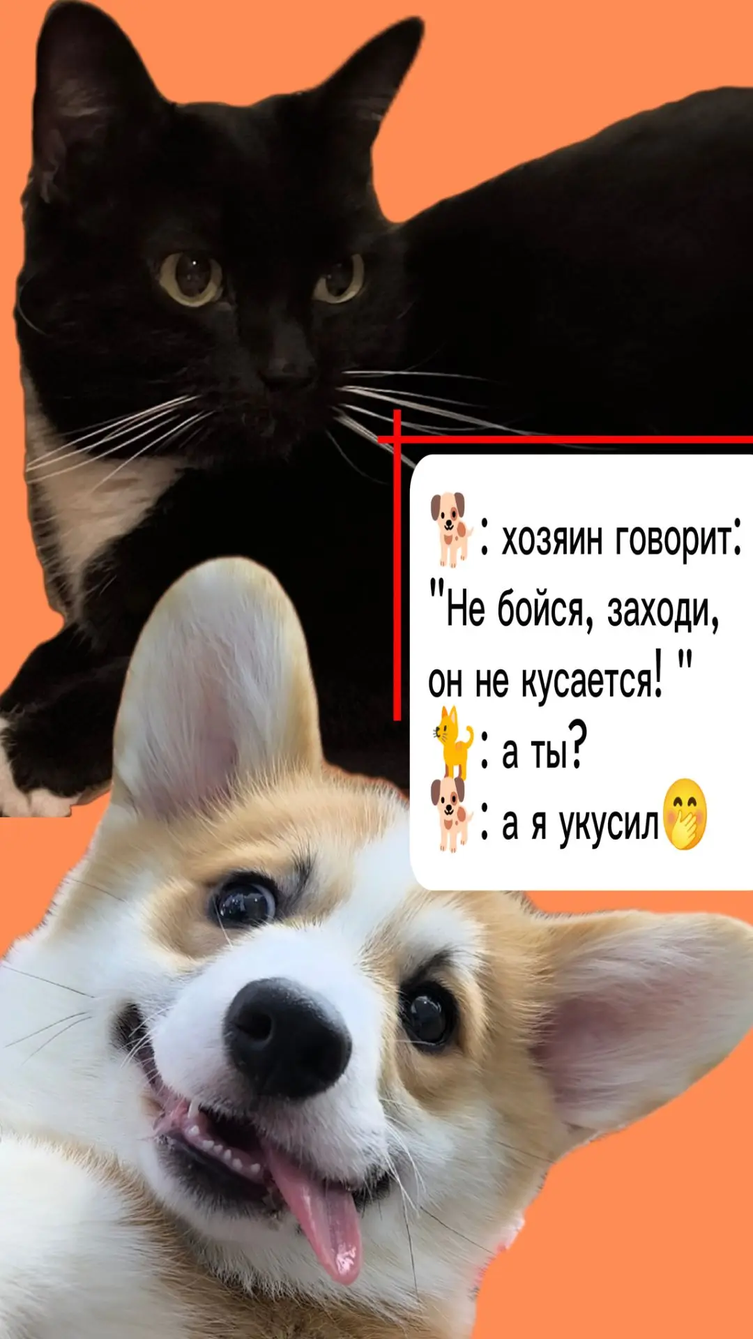Почему мне так смешно 😁))