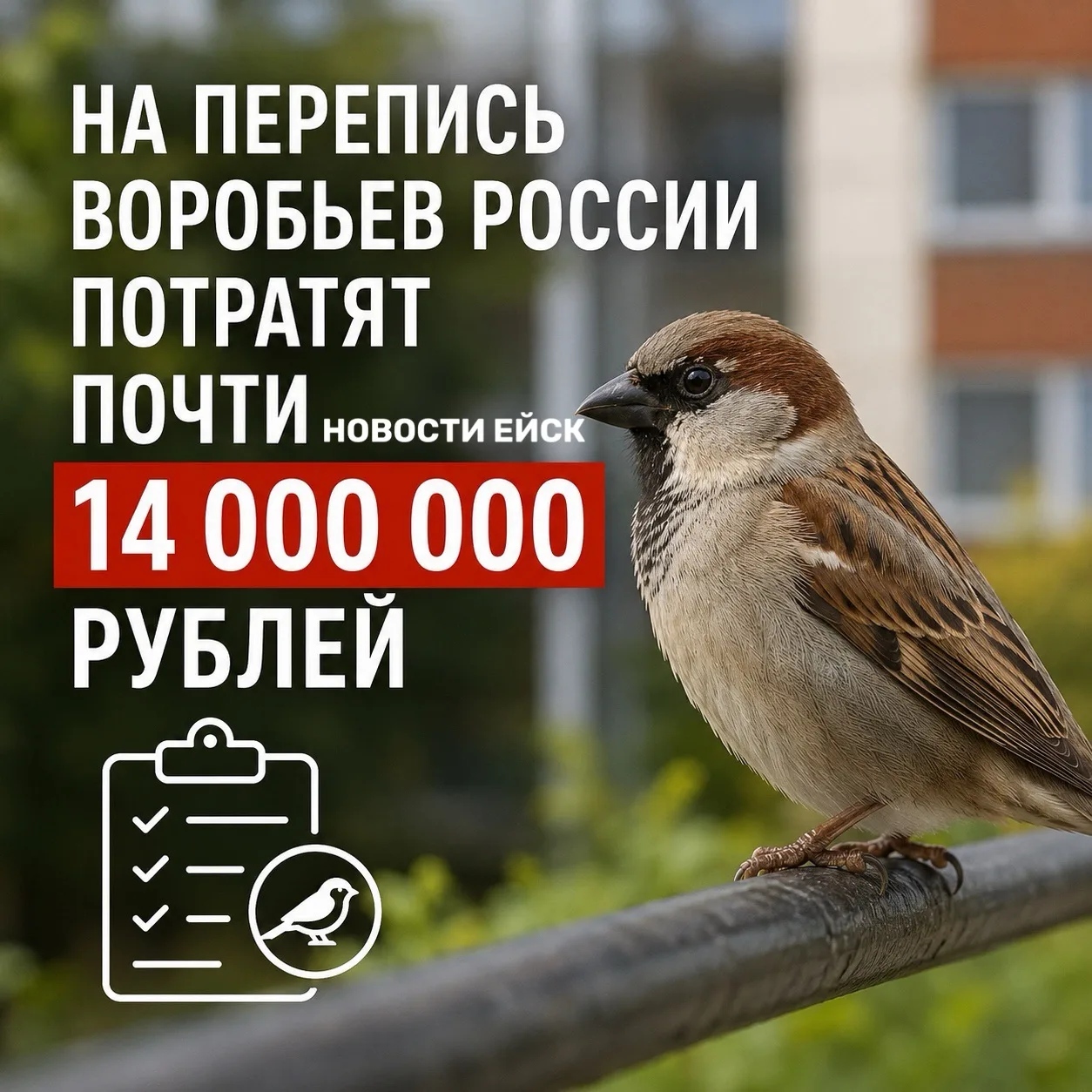 ❗️На перепись воробьев России потратят почти 14 000 000 рублей (да, миллионов рублей)