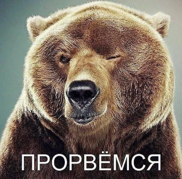 ПОЗДРАВЬ КРАСИВО 🥳
