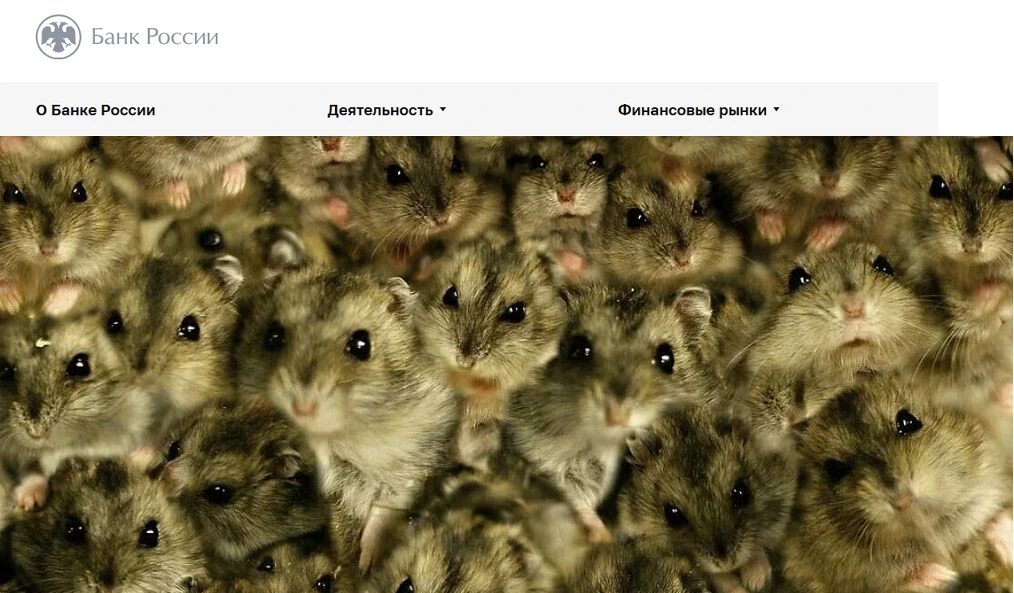 🇷🇺#акции #россия #cot #обзор