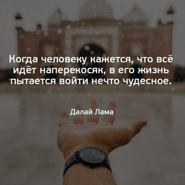 Цитаты знаменитых

🎞 Психология по фильмам