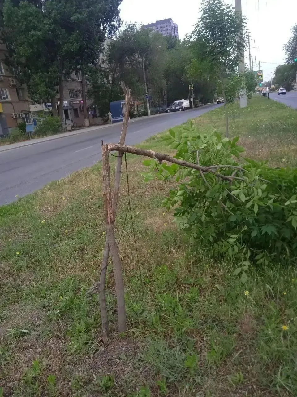 Более 26 случаев вандализма за лето: в скверах Астрахани портят имущество