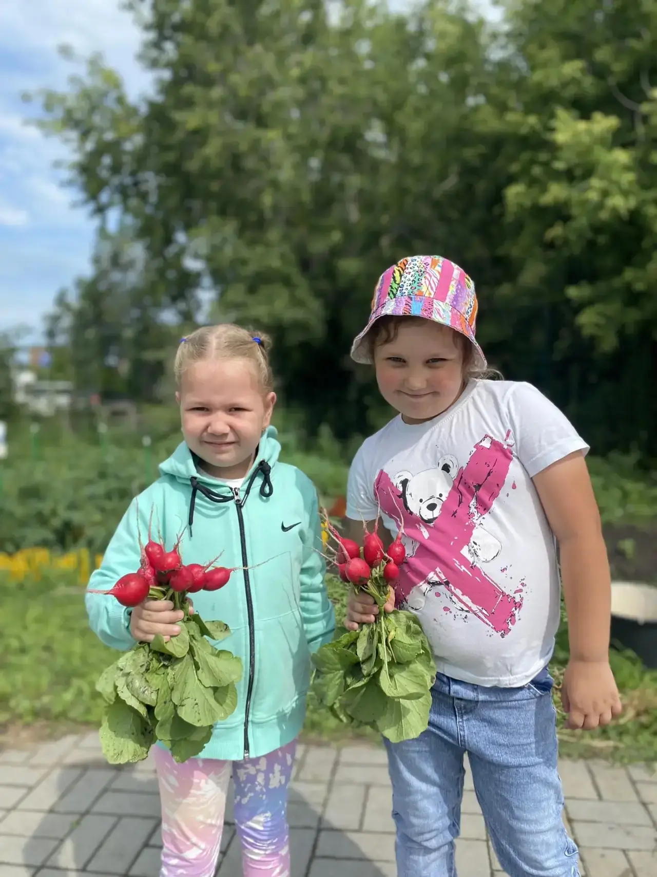 🫜🥬Часть урожая на нашем огороде уже созрела, а некоторые культуры порадуют нас своим ...