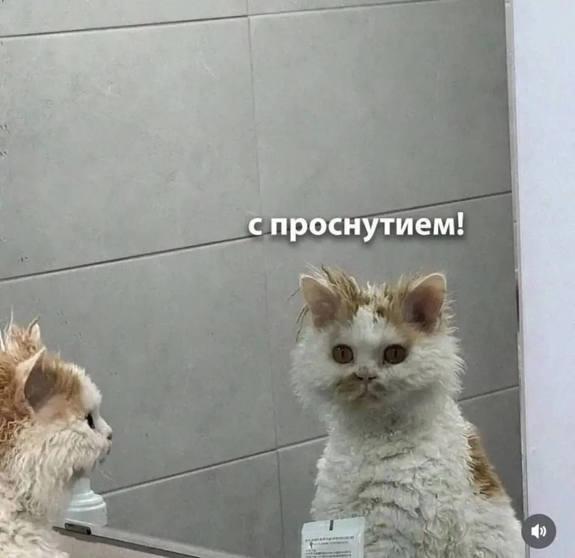 С чем я вас и поздравляю)