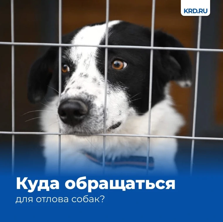 Уважаемые жители многоквартирного дома!
