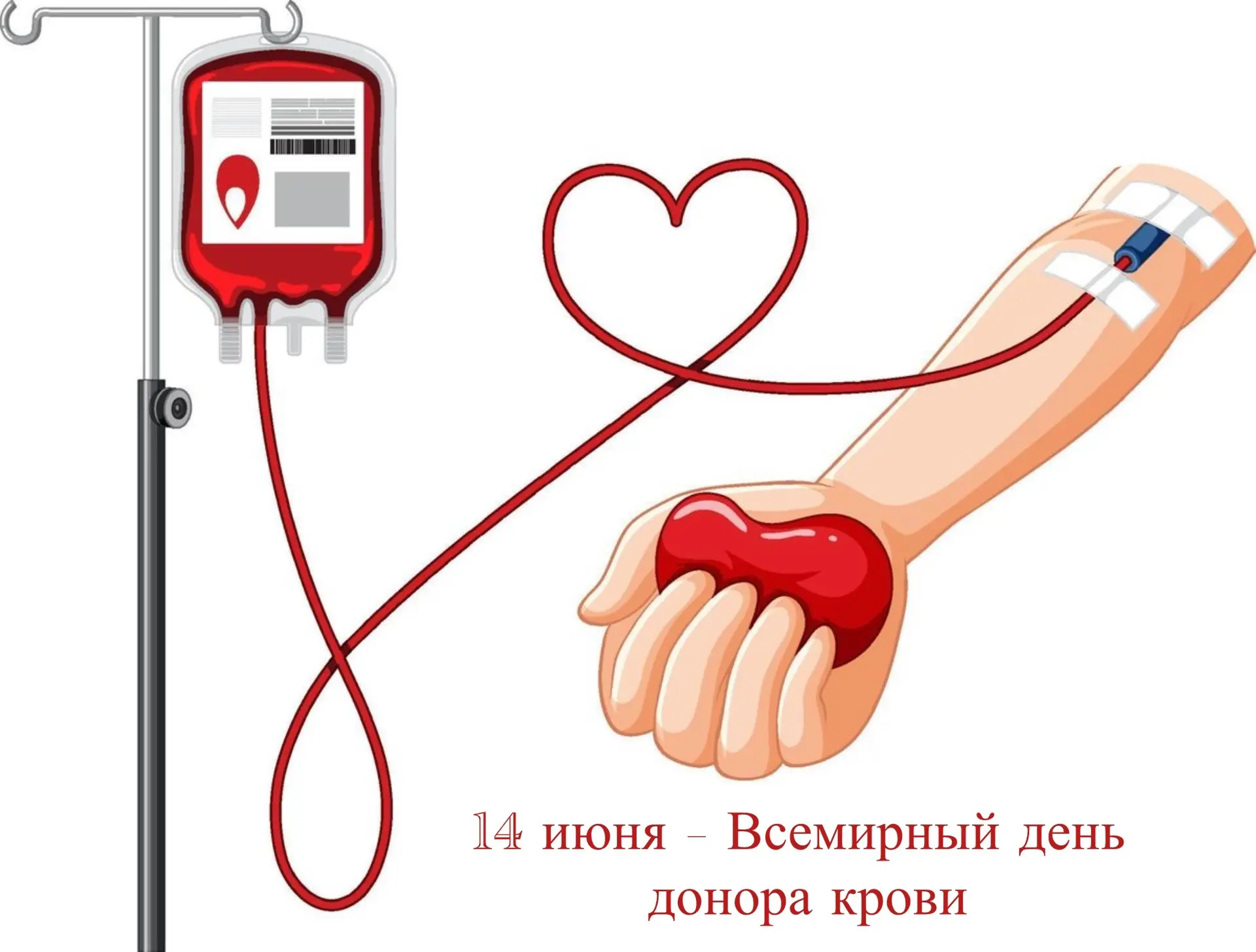 🩸 14 июня - Всемирный день донора крови

Донорство крови объединяет людей, для которых помощь други