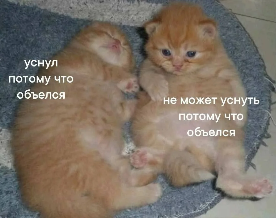 Вы к какому типу относитесь?