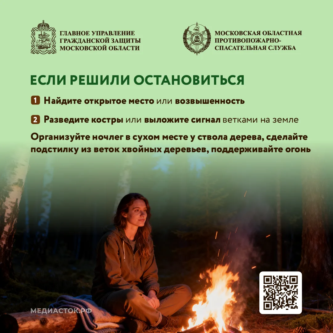 🌲Как подготовиться к походу в лес, что взять с собой, и как найти дорогу, если сбились с пути – чита