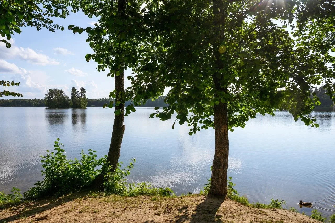 #туризмвмарийэл

📍Выбираем место отдыха✨

 🌊Озеро Таир — идеальное место для перезагрузки!
Всего 4