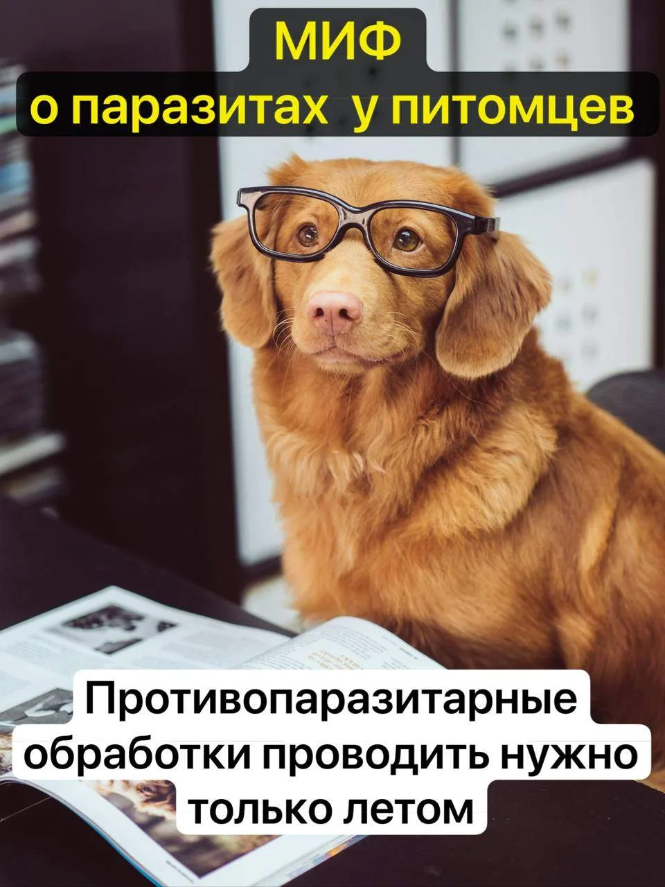 Разрушаем мифы