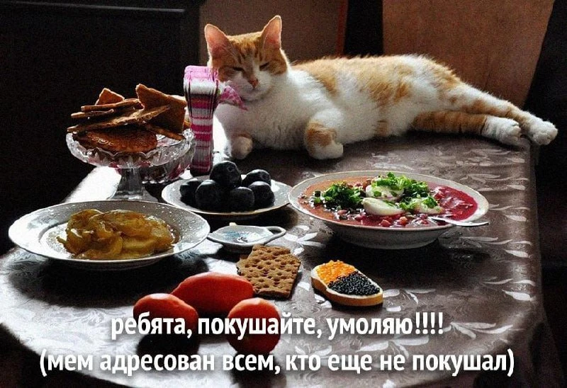 Утречка! Не забывайте завтракать. И чем вкуснее - тем полезнее

#юмор | Подписаться на Госзаказ