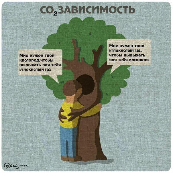 Симбиоз 🌳💚👪