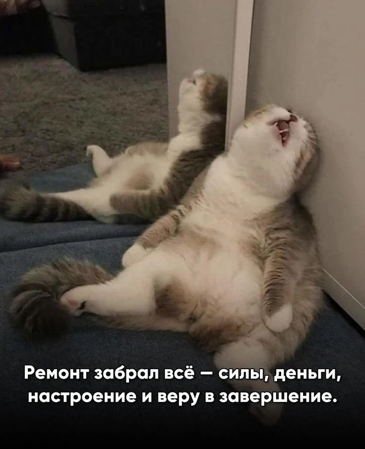 Жизненно?😂