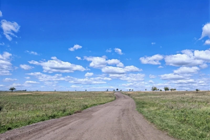 🛣 Дорогу к СНТ «Звёздочка» и «Крыло» начали приводить в порядок