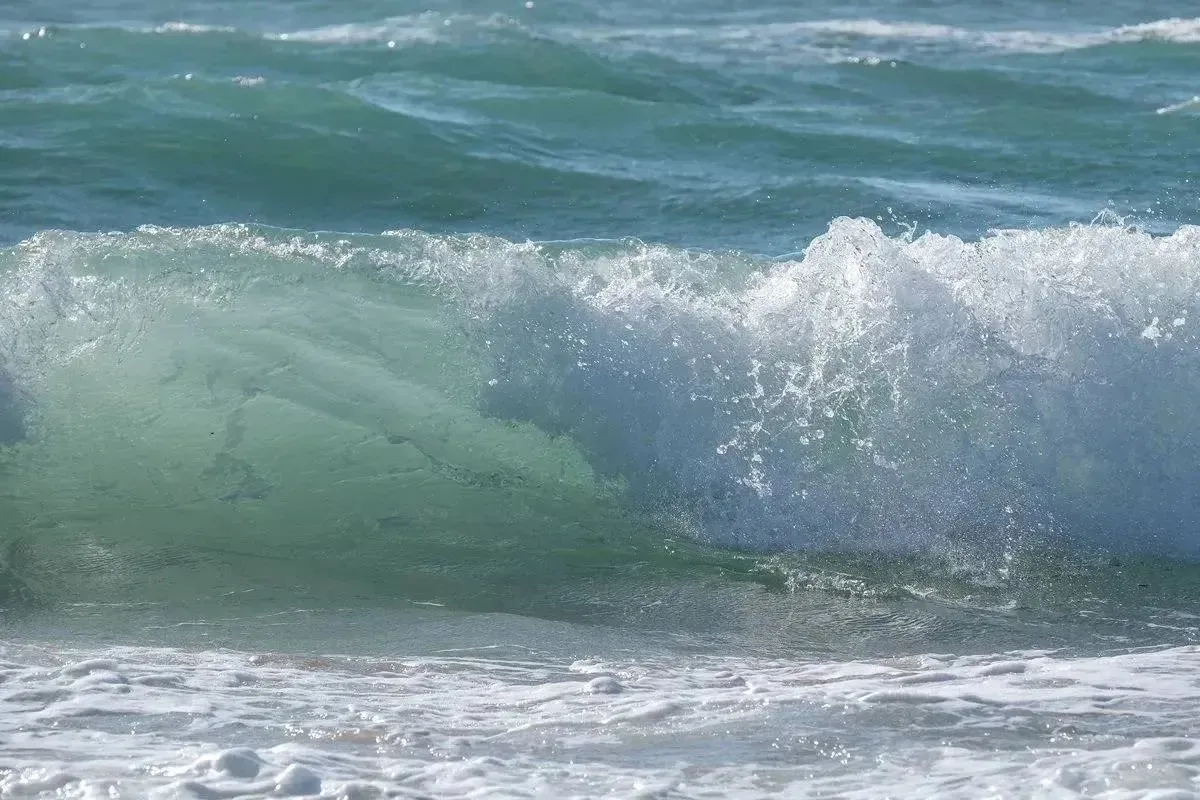 🌊 Волны до 1,8 метра накроют побережье Сочи.