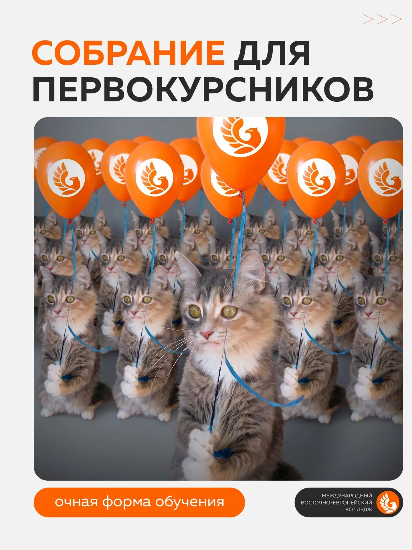 Собрание для первокурсников ОЧНОЙ формы