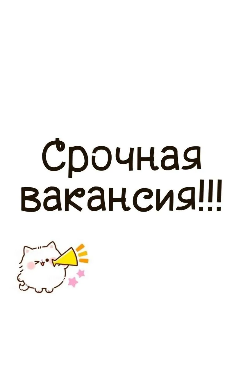 📬 Раскладка и расклейка рекламы — от 1500 ₽ за маршрут! 💰