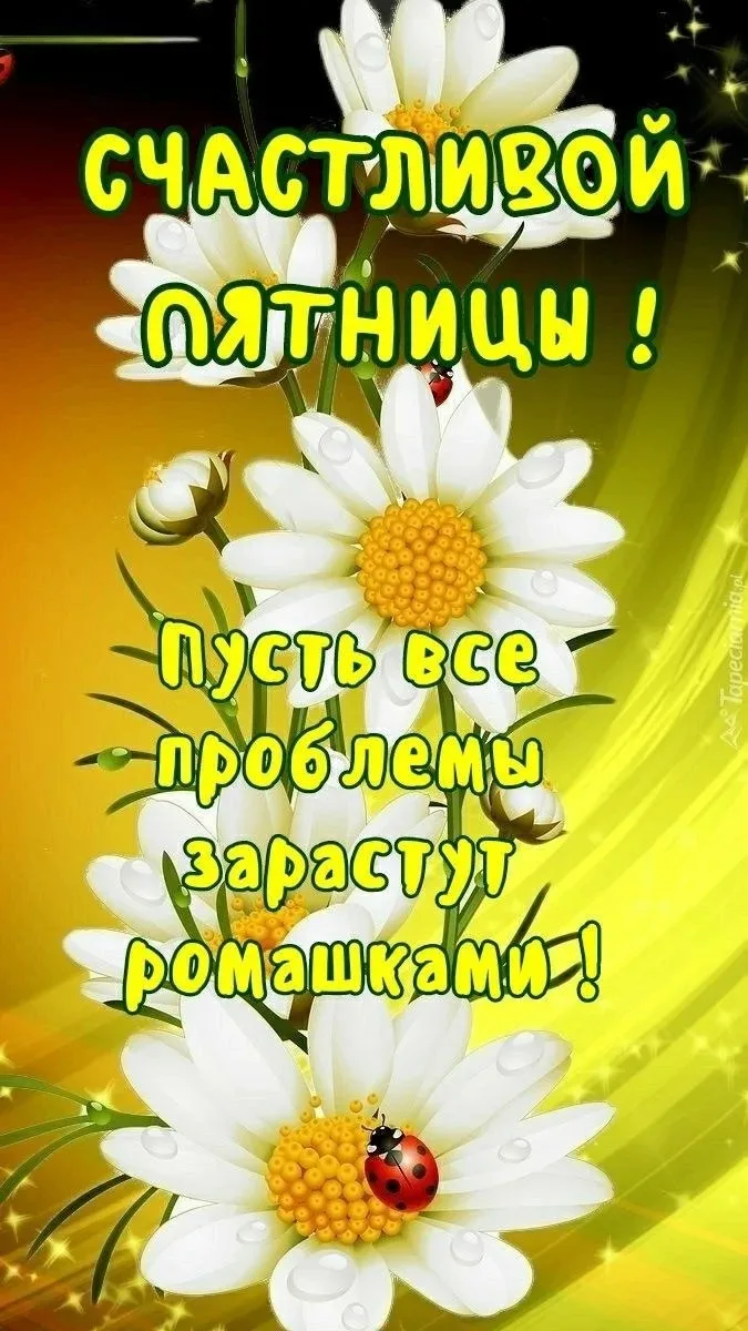 🥰 Ставьте реакции и делитесь открыткой с близкими ❤️

💌 Лучшие Открытки в MAX! 👉 Подписаться