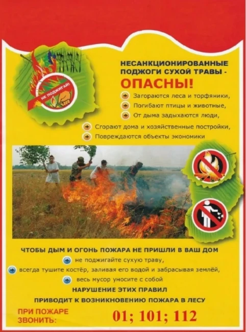 Пожарная безопасность: пал травы, костры и окурки