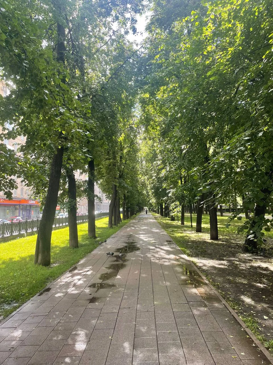 Но я все равно не подготовилась.
