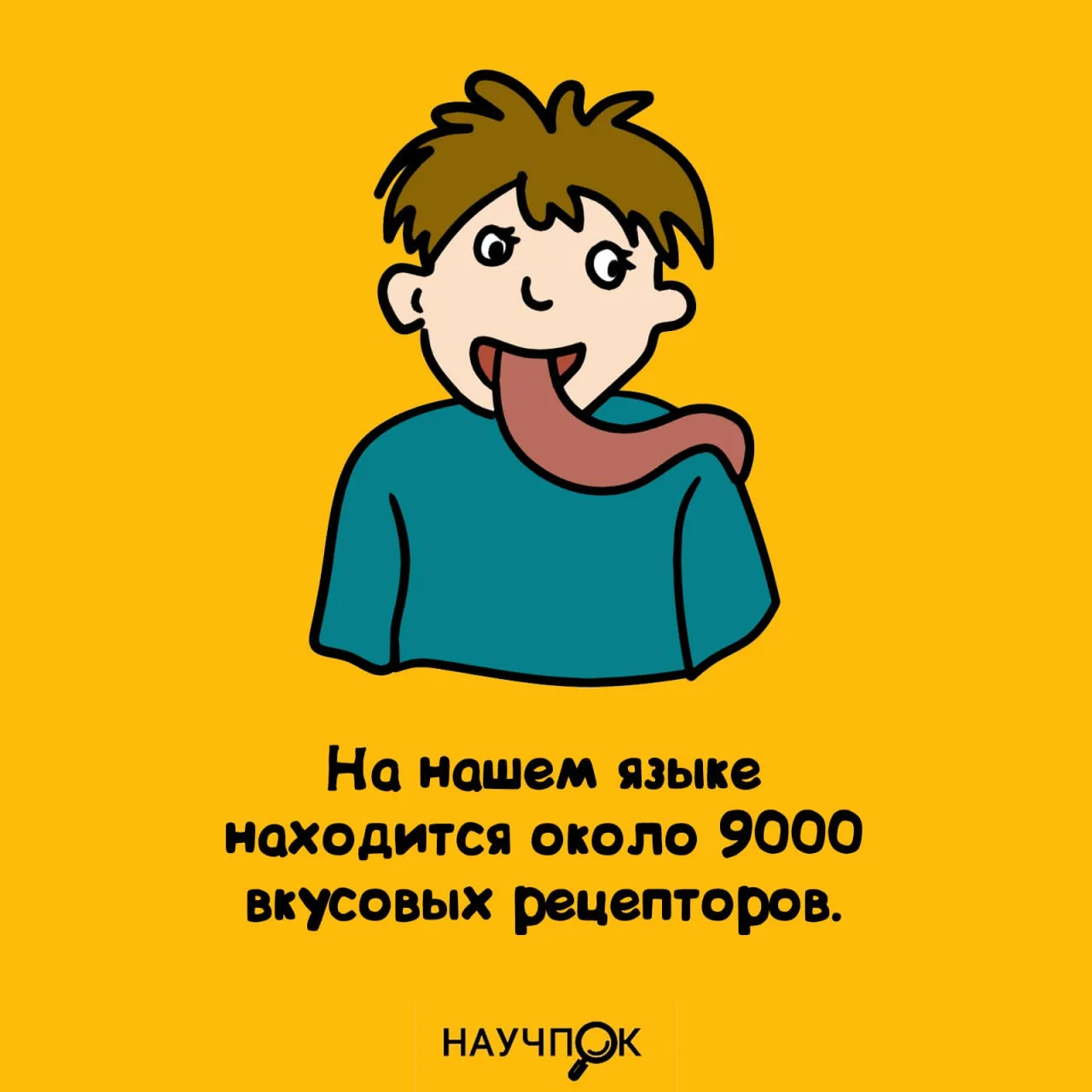 Научпок | Подписаться