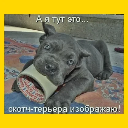 Полный Хохотамбл! Подпишись скорее