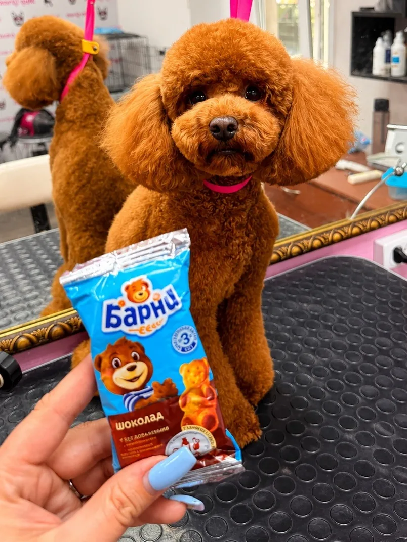 Барнюша желает всем хорошего дня ☀️
