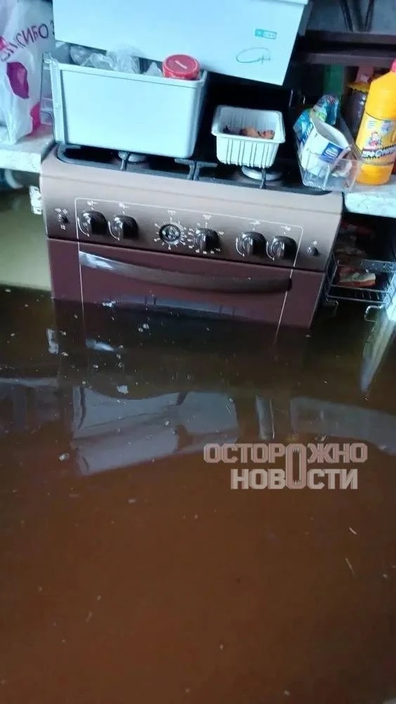Паводок в Волжске затопил частный сектор, жители требуют помощи от Йошкар-Олы  В Волжск частный сект