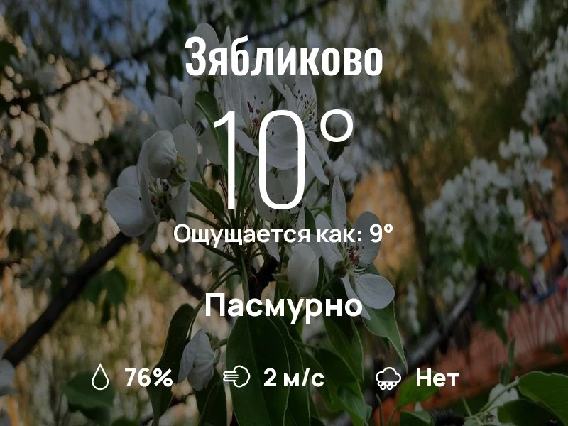 Что с погодой в Зябликово?