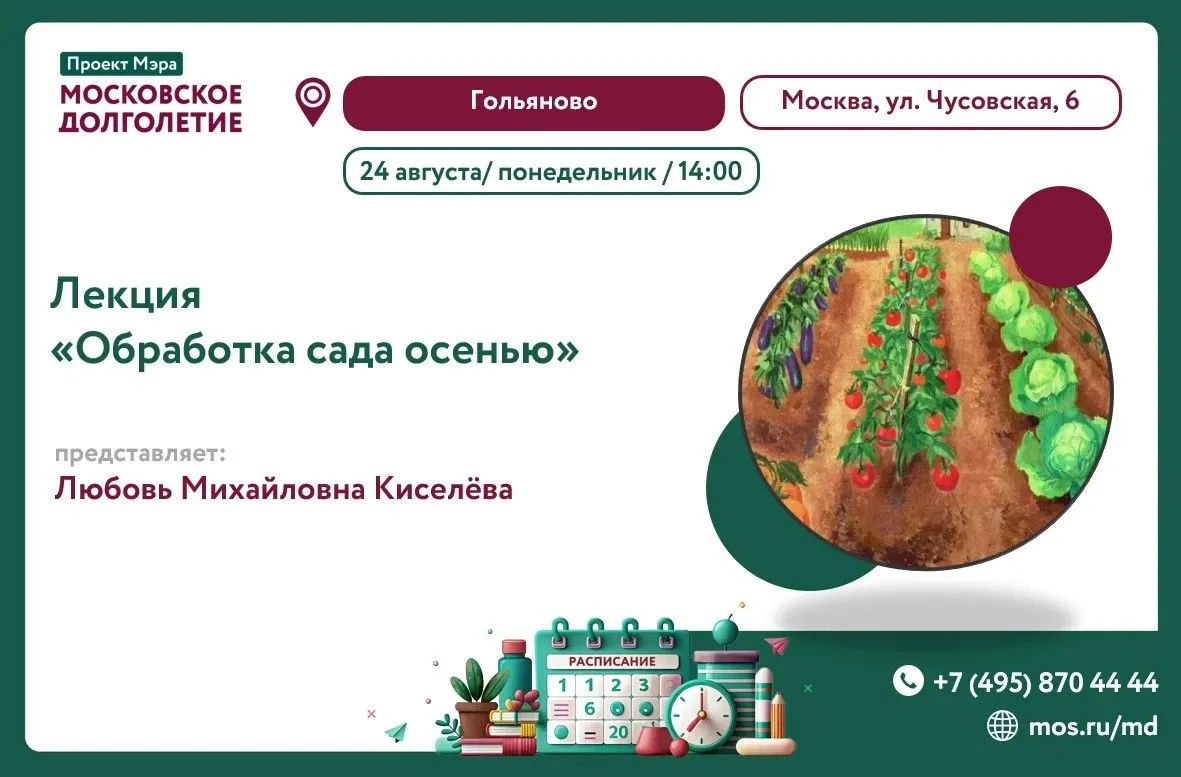 Дорогие друзья! ✨