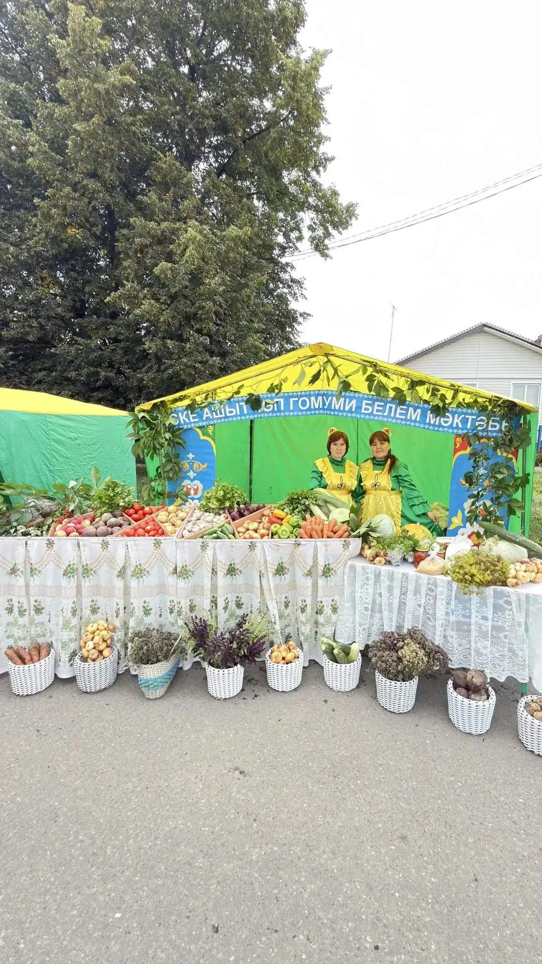 АРЧА ЯРМАРКАСЫНДА ИСТӘЛЕКЛЕ КӨН! 🍎🍏