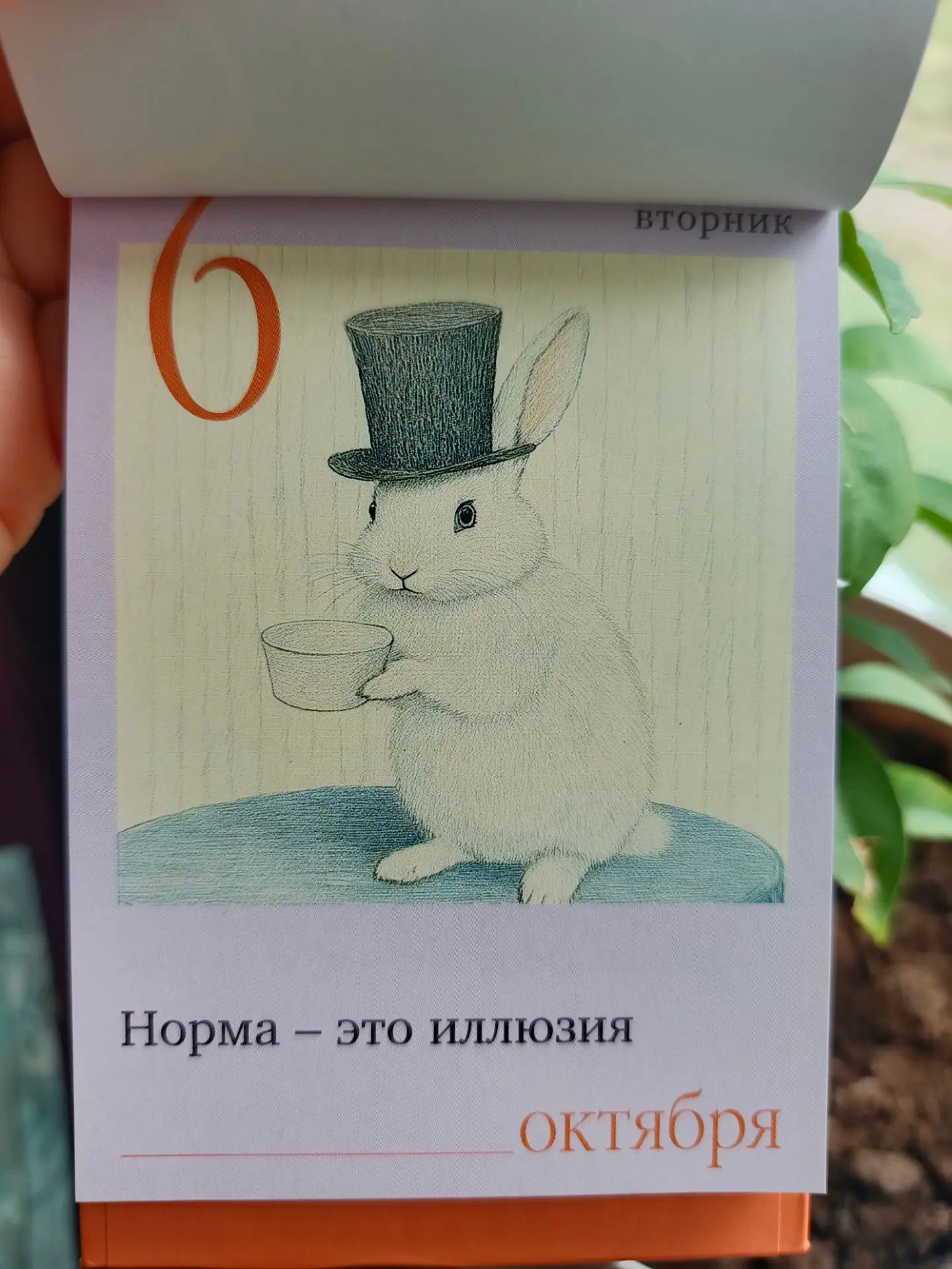Доброе утро 🌞🩷