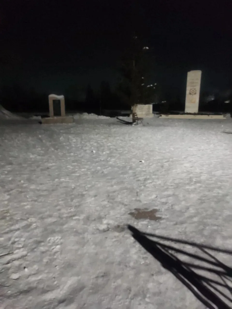 В Родительский патруль 22.02.2026г. выезжали родители 9а класса. Семья Коржевских, Сере...