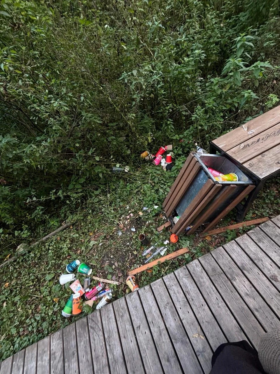 🗑 В рязанском Лесопарке пришла в упадок новая тропа