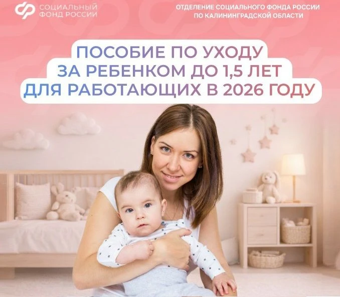 Более 5 тысяч работающих калининградцев получают пособие по уходу за ребенком до полутора лет в 2026