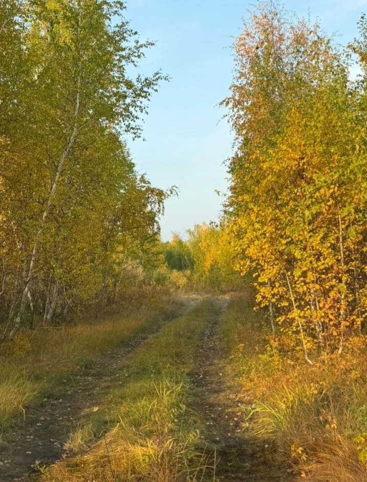 🍂 Осень уже не спеша подступает,