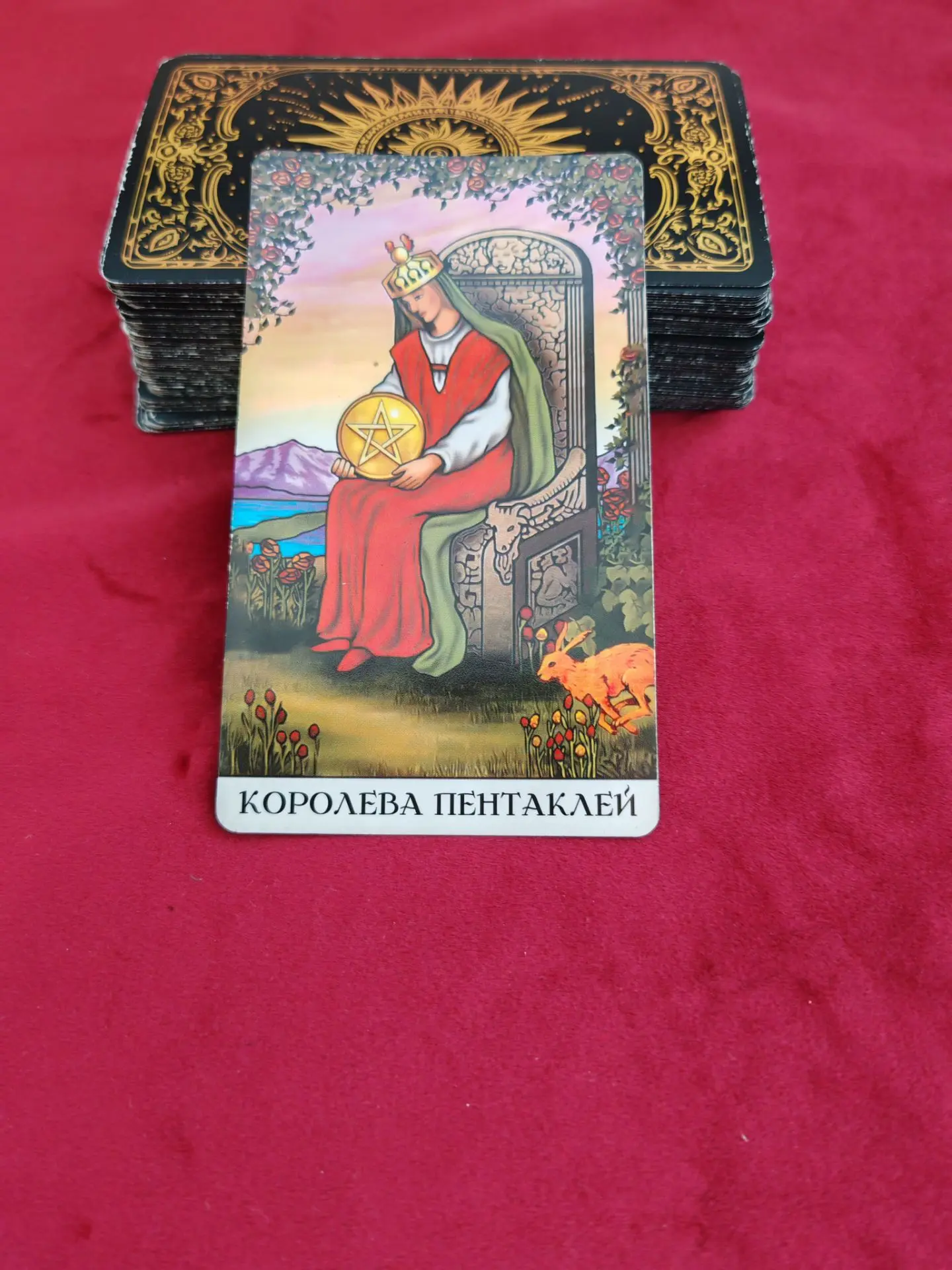 КАРТА ДНЯ