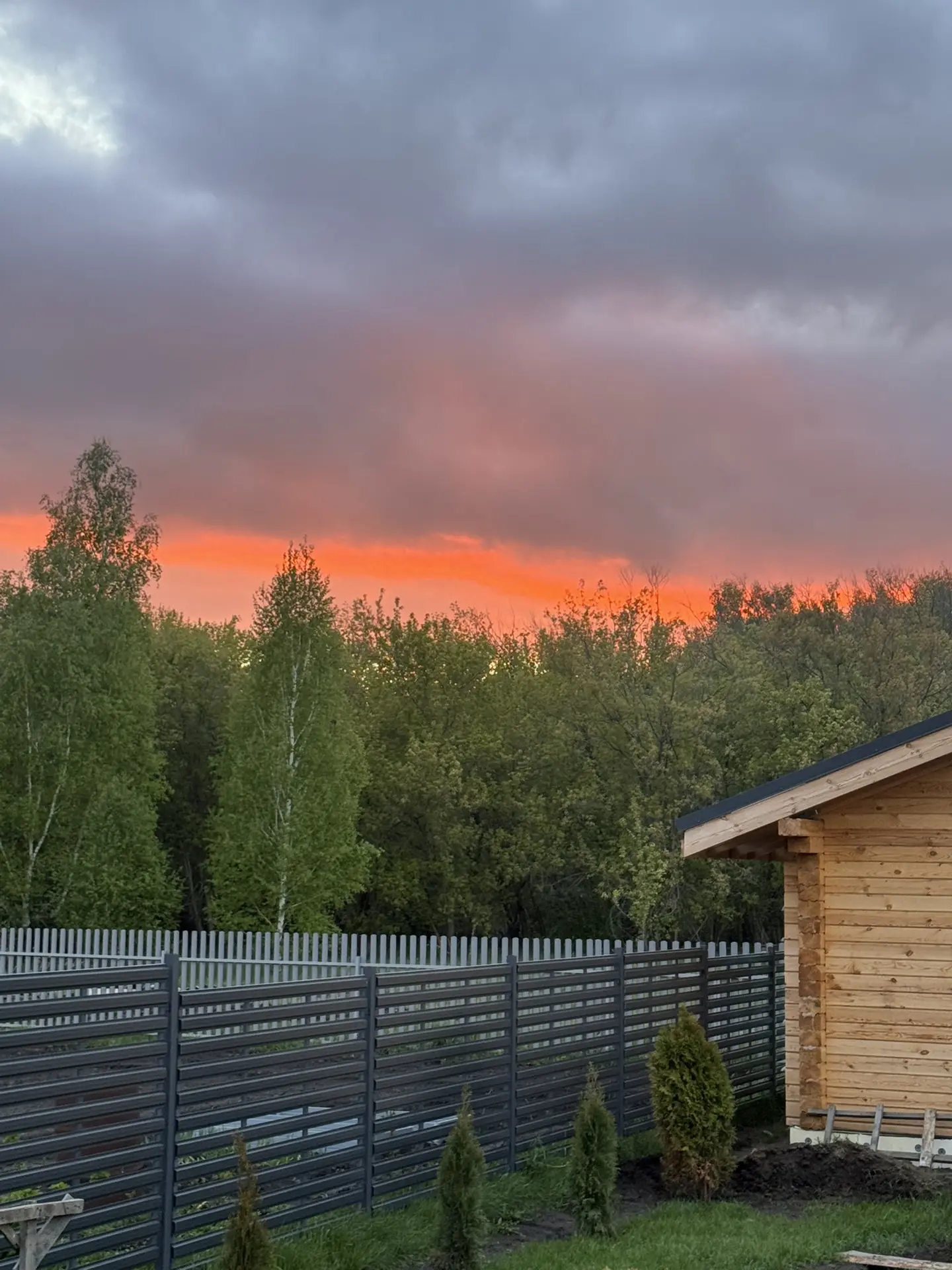 Распаковка малины и колоновидной яблони🌺
