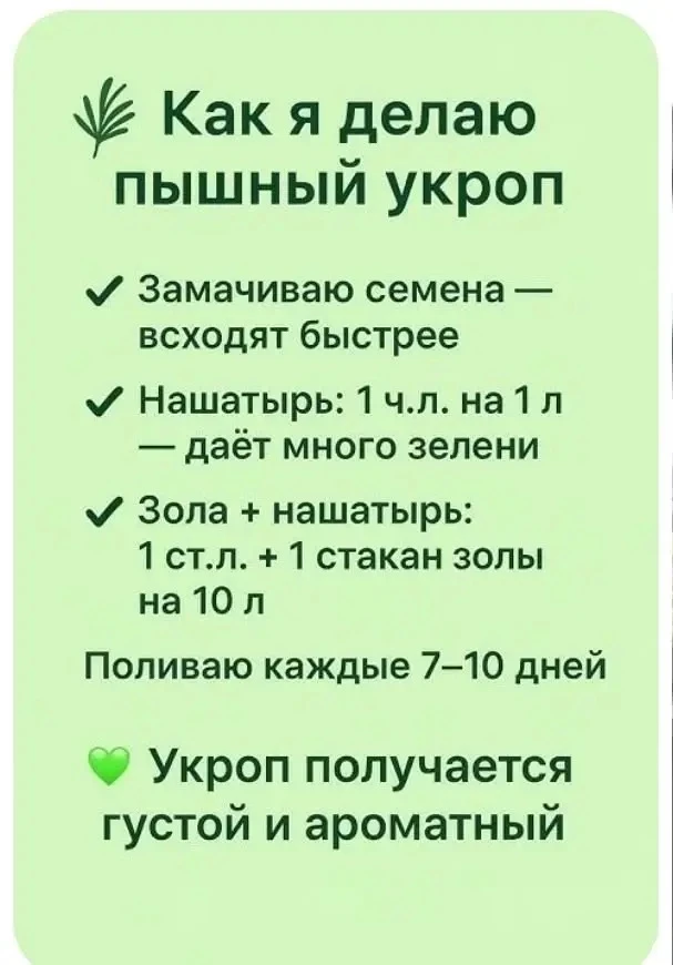 Как вырастить пышный укроп💚