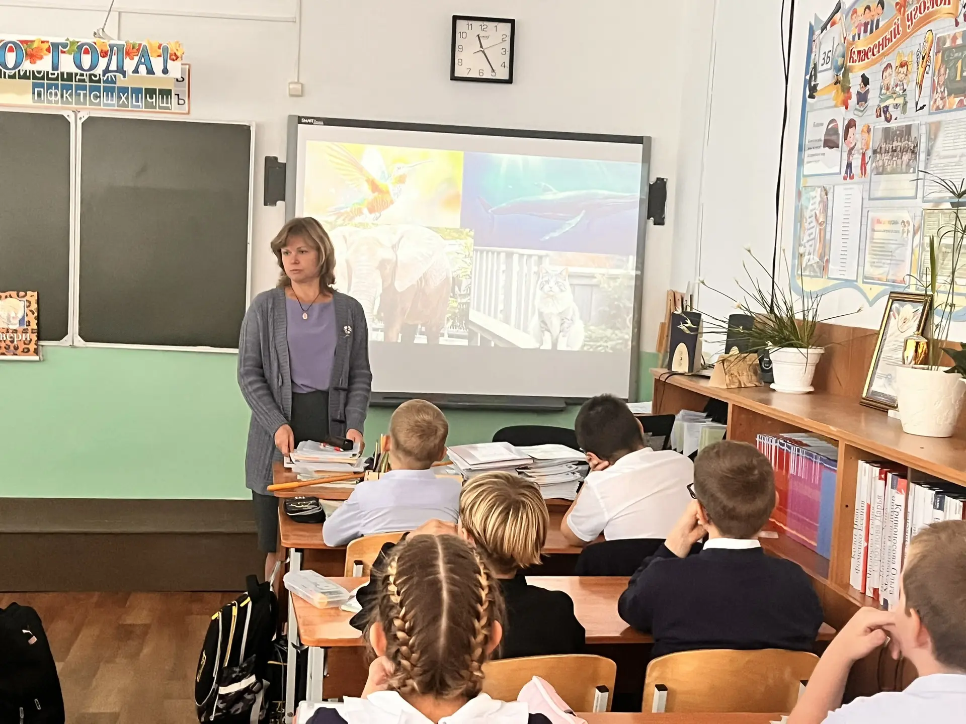 🦋🐘🐳В рамках празднования Международного дня защиты животных сотрудники Васюринской д...