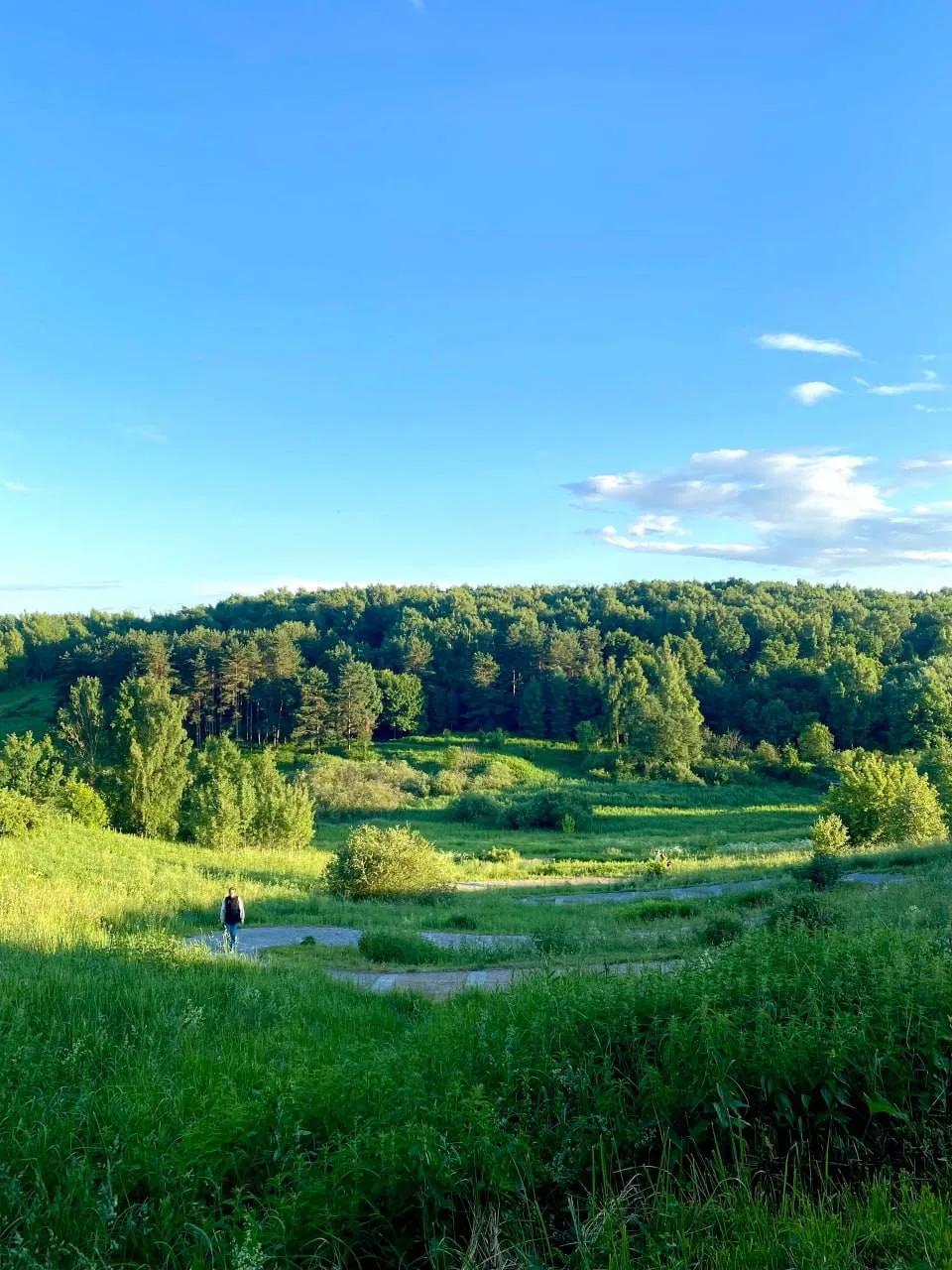 Как же красиво в Бирюлевском лесопарке летом🌳😍