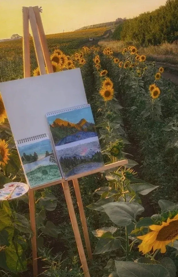 Вечерние зарисовки. 😍