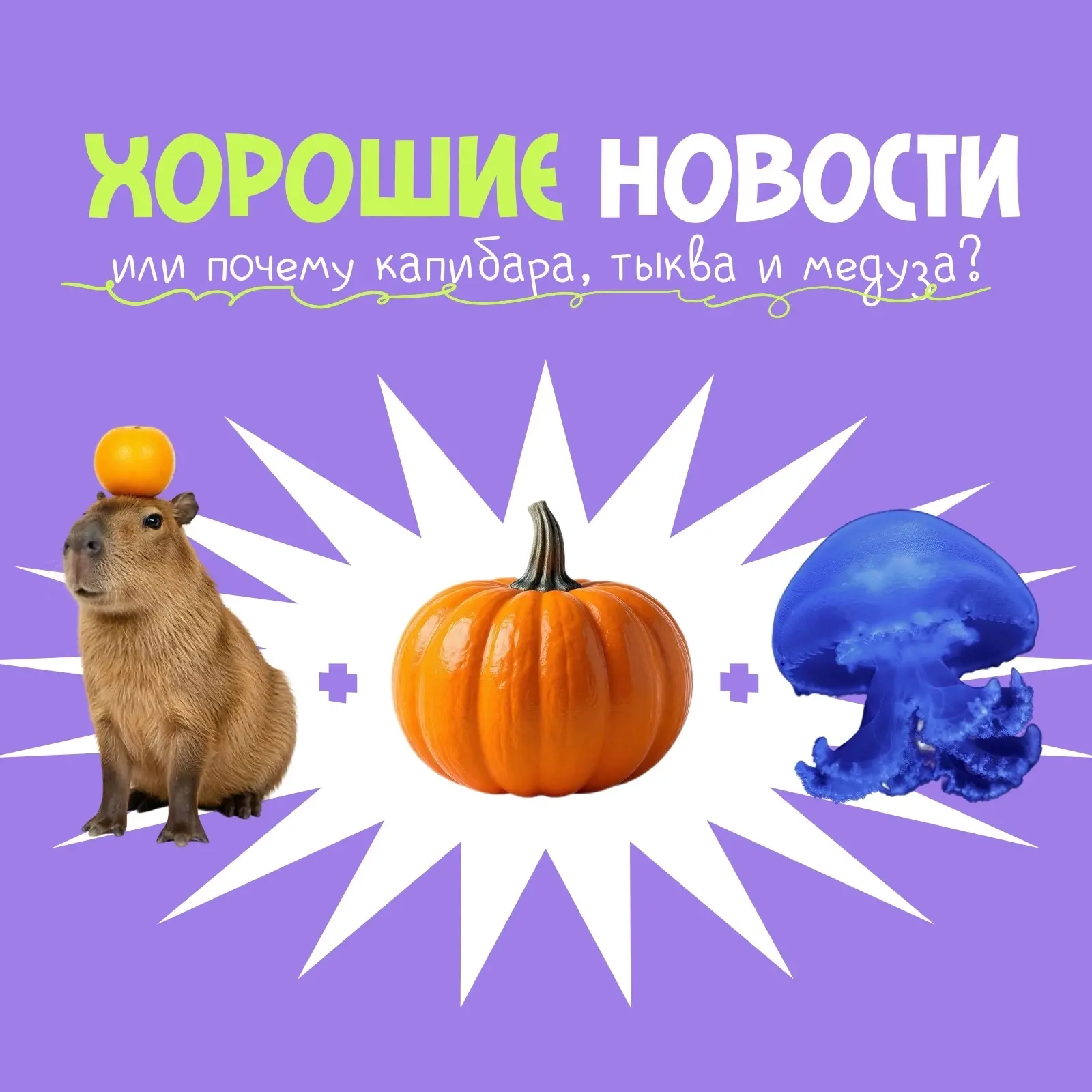 ☀️ Немного позитива в ленту: хорошие новости прошлой недели!
