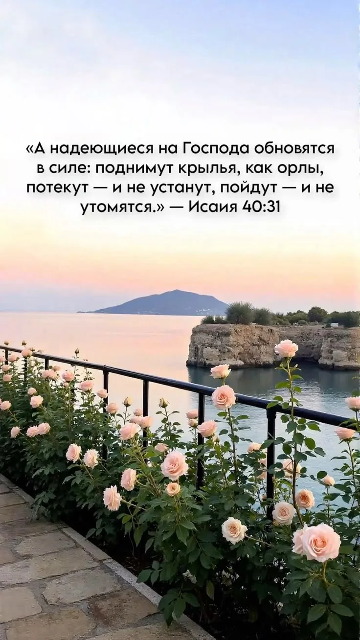 👉 Наши каналы. Подписаться.