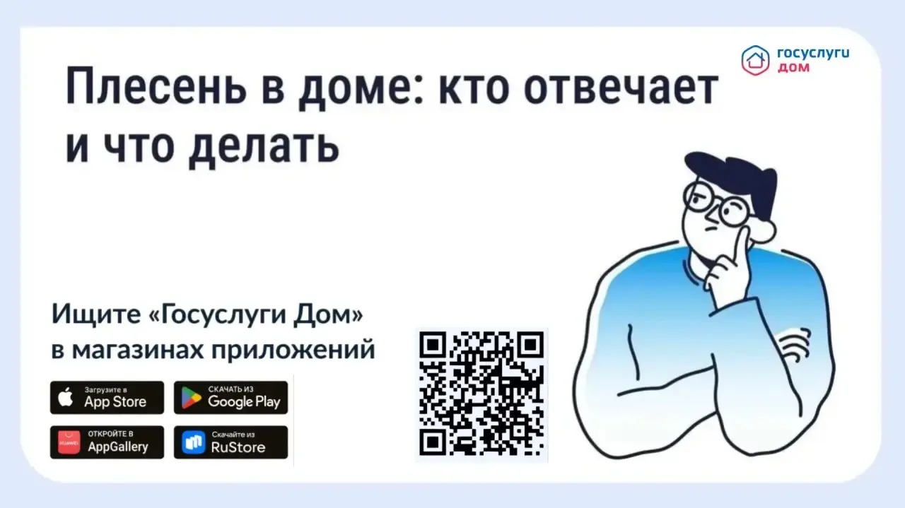🦠 Что делать, если в квартире появилась плесень?