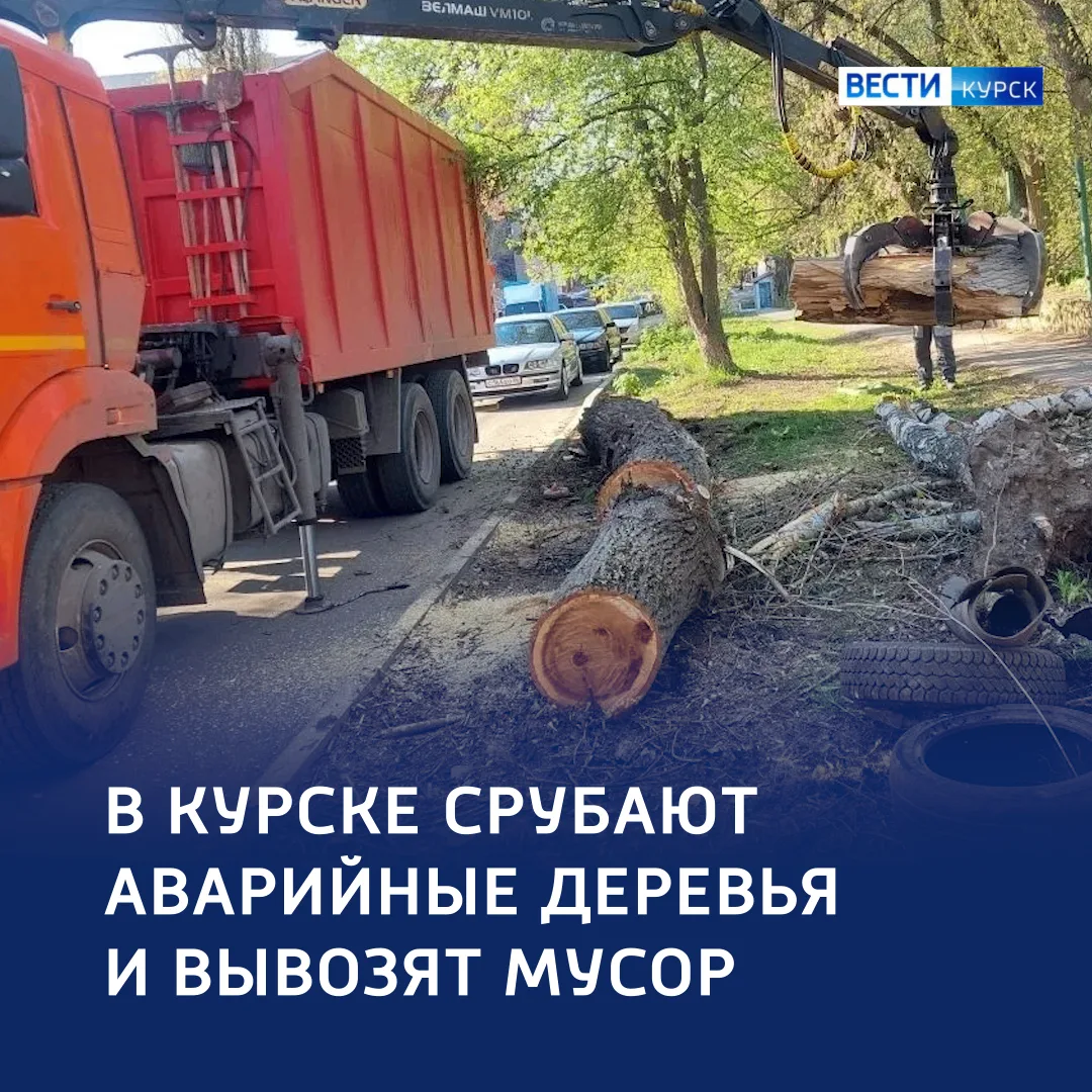 🔵 Безопасность дороже зелени: опасные кроны — долой