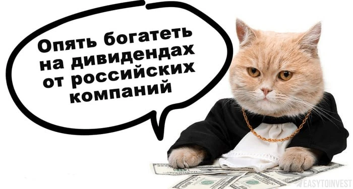Когда вы покупаете дивидендные акции, вы становитесь совладельцем бизнеса и получаете часть его приб
