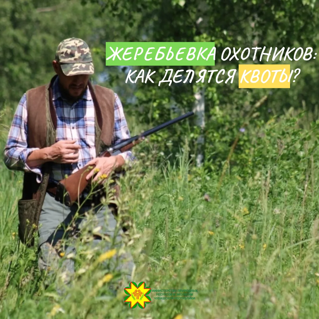 КАК РАБОТАЕТ ОХОТНИЧЬЯ ЖЕРЕБЬЁВКА?