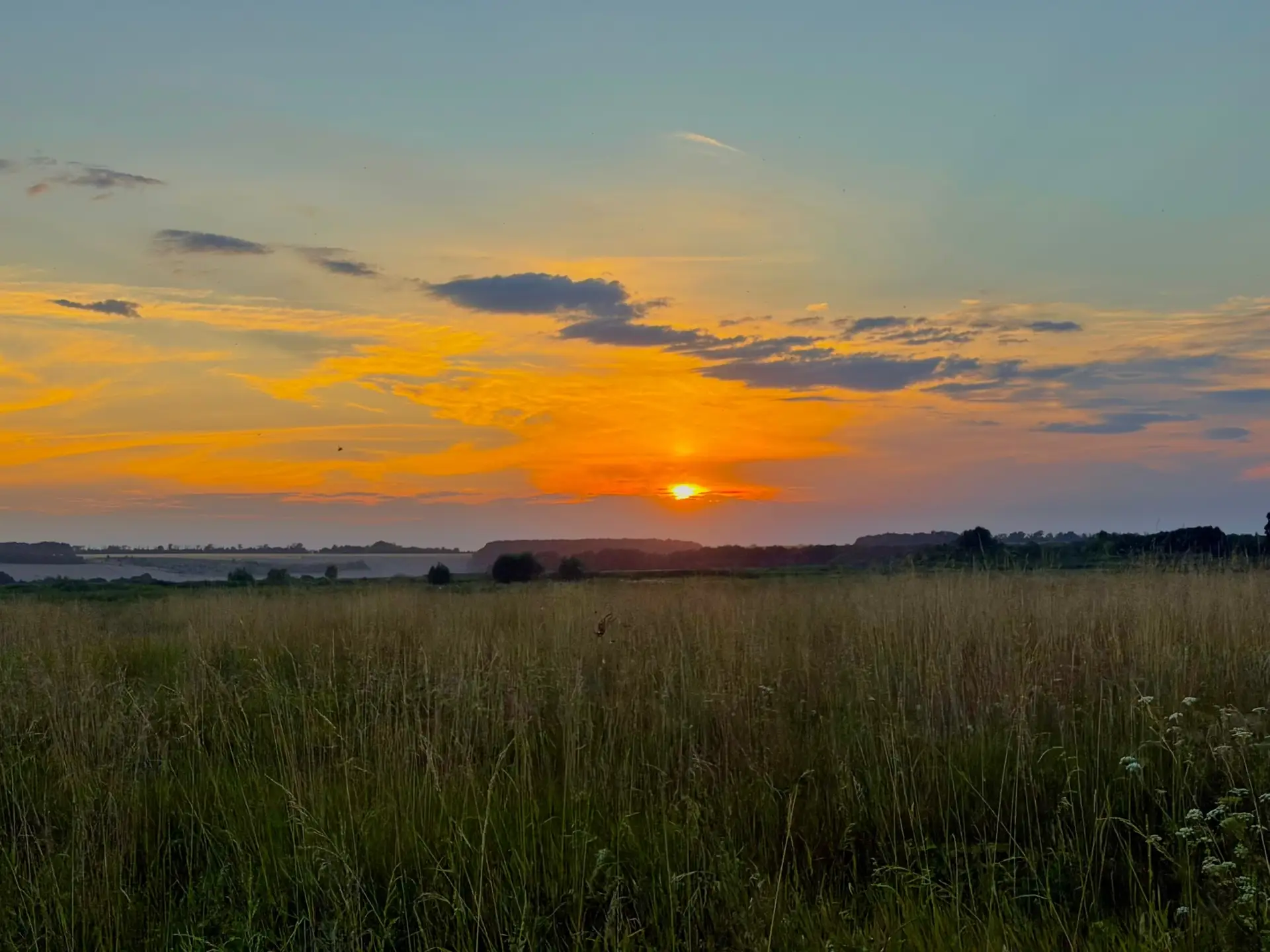 🌅 Доброе утро, жердевцы!