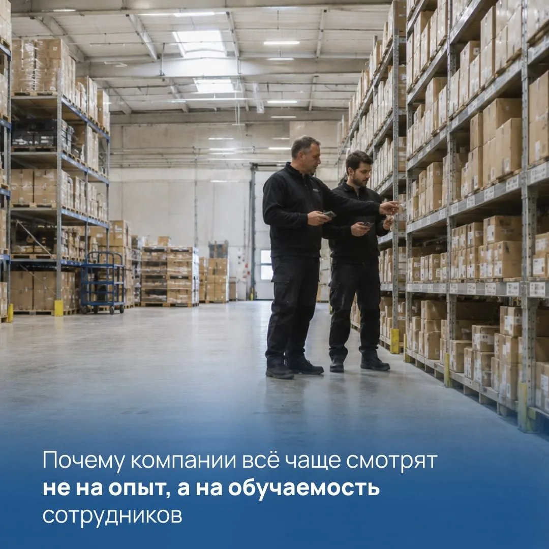 Почему компании всё чаще смотрят не на опыт, а на обучаемость сотрудников